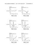 SURFACE ACOUSTIC WAVE RESONATOR, SURFACE ACOUSTIC WAVE OSCILLATOR, AND     ELECTRONIC APPARATUS diagram and image