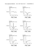 SURFACE ACOUSTIC WAVE RESONATOR, SURFACE ACOUSTIC WAVE OSCILLATOR, AND     ELECTRONIC APPARATUS diagram and image