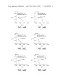 SURFACE ACOUSTIC WAVE RESONATOR, SURFACE ACOUSTIC WAVE OSCILLATOR, AND     ELECTRONIC APPARATUS diagram and image