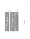 Radiation Scribed Waveguide Coupling for Photonic Circuits diagram and image