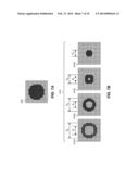 ELECTROGRAPHIC PRINTING OF TACTILE IMAGES diagram and image