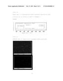High Purity Carbon Nanotube, Process For Preparing The Same And     Transparent Conductive Film Using The Same diagram and image