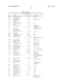 LARGE ONCOSOMES IN HUMAN TUMORS AND IN CIRCULATION IN PATIENTS WITH CANCER diagram and image