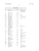 LARGE ONCOSOMES IN HUMAN TUMORS AND IN CIRCULATION IN PATIENTS WITH CANCER diagram and image