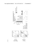 IMMUNOSUPPRESSIVE CELLS AND METHODS OF MAKING AND USING THEREOF diagram and image