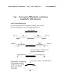 Supercoiled MiniVectors as a Tool for DNA Repair, Alteration and     Replacement diagram and image