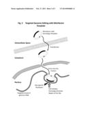 Supercoiled MiniVectors as a Tool for DNA Repair, Alteration and     Replacement diagram and image