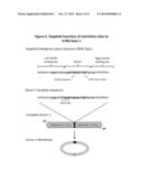 Supercoiled MiniVectors as a Tool for DNA Repair, Alteration and     Replacement diagram and image