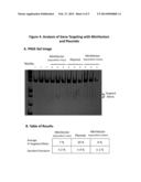 Supercoiled MiniVectors as a Tool for DNA Repair, Alteration and     Replacement diagram and image