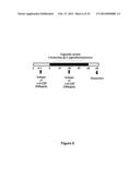 TREATMENT OF PULMONARY DISEASE CONDITIONS diagram and image