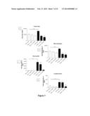 TREATMENT OF PULMONARY DISEASE CONDITIONS diagram and image