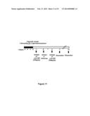 TREATMENT OF PULMONARY DISEASE CONDITIONS diagram and image