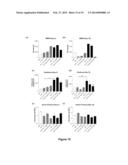 TREATMENT OF PULMONARY DISEASE CONDITIONS diagram and image