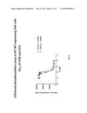 ANTI-KIT ANTIBODIES AND USES THEREOF diagram and image