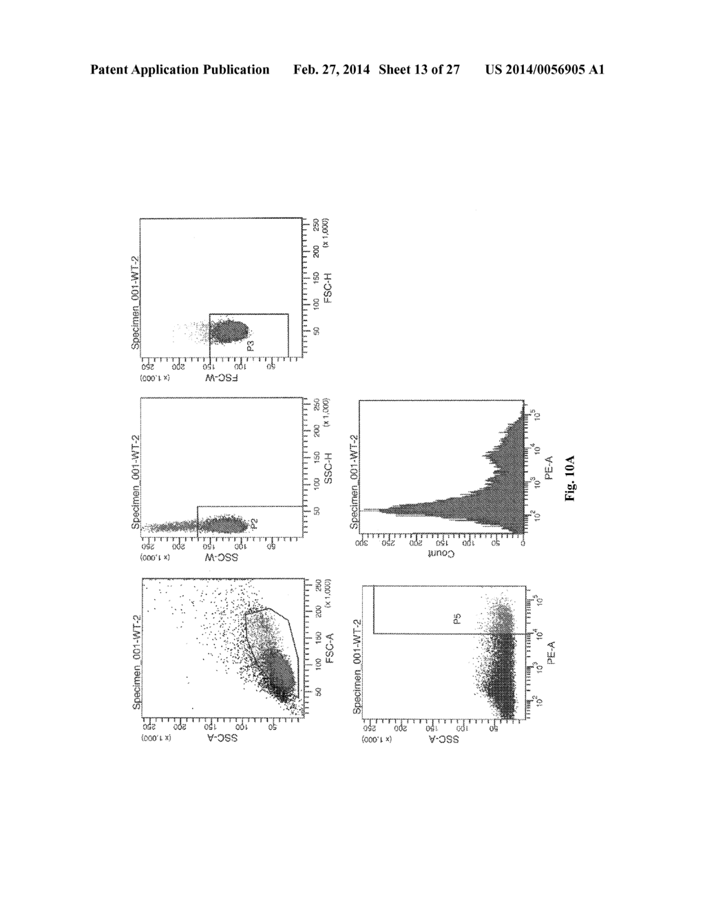 ANTI-KIT ANTIBODIES AND USES THEREOF - diagram, schematic, and image 14