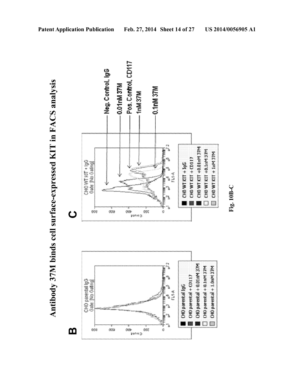 ANTI-KIT ANTIBODIES AND USES THEREOF - diagram, schematic, and image 15