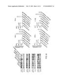 FTY720 Increases CD74 Expression and Sensitizes Cancer Cells to Anti-CD74     Antibody-Mediated Cell Death diagram and image