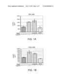 COMPOSITIONS AND METHODS FOR SIRNA INHIBITION OF ANGIOGENESIS diagram and image