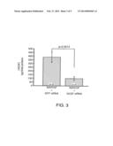 COMPOSITIONS AND METHODS FOR SIRNA INHIBITION OF ANGIOGENESIS diagram and image