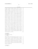 COMPOSITIONS AND METHODS FOR SIRNA INHIBITION OF ANGIOGENESIS diagram and image