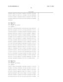 COMPOSITIONS AND METHODS FOR SIRNA INHIBITION OF ANGIOGENESIS diagram and image