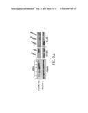 JAK/STAT INHIBITORS AND MAPK/ERK INHIBITORS FOR RSV INFECTION diagram and image