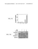 JAK/STAT INHIBITORS AND MAPK/ERK INHIBITORS FOR RSV INFECTION diagram and image