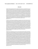 MATERIALS AND METHOD FOR ASSAYING FOR METHYLATION OF CpG ISLANDS     ASSOCIATED WITH GENES IN THE EVALUATION OF CANCER diagram and image