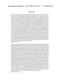 MATERIALS AND METHOD FOR ASSAYING FOR METHYLATION OF CpG ISLANDS     ASSOCIATED WITH GENES IN THE EVALUATION OF CANCER diagram and image