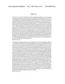 MATERIALS AND METHOD FOR ASSAYING FOR METHYLATION OF CpG ISLANDS     ASSOCIATED WITH GENES IN THE EVALUATION OF CANCER diagram and image