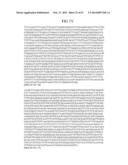 MATERIALS AND METHOD FOR ASSAYING FOR METHYLATION OF CpG ISLANDS     ASSOCIATED WITH GENES IN THE EVALUATION OF CANCER diagram and image