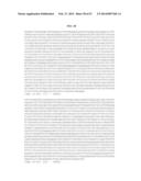 MATERIALS AND METHOD FOR ASSAYING FOR METHYLATION OF CpG ISLANDS     ASSOCIATED WITH GENES IN THE EVALUATION OF CANCER diagram and image