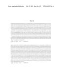 MATERIALS AND METHOD FOR ASSAYING FOR METHYLATION OF CpG ISLANDS     ASSOCIATED WITH GENES IN THE EVALUATION OF CANCER diagram and image