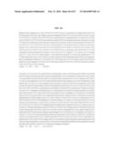 MATERIALS AND METHOD FOR ASSAYING FOR METHYLATION OF CpG ISLANDS     ASSOCIATED WITH GENES IN THE EVALUATION OF CANCER diagram and image