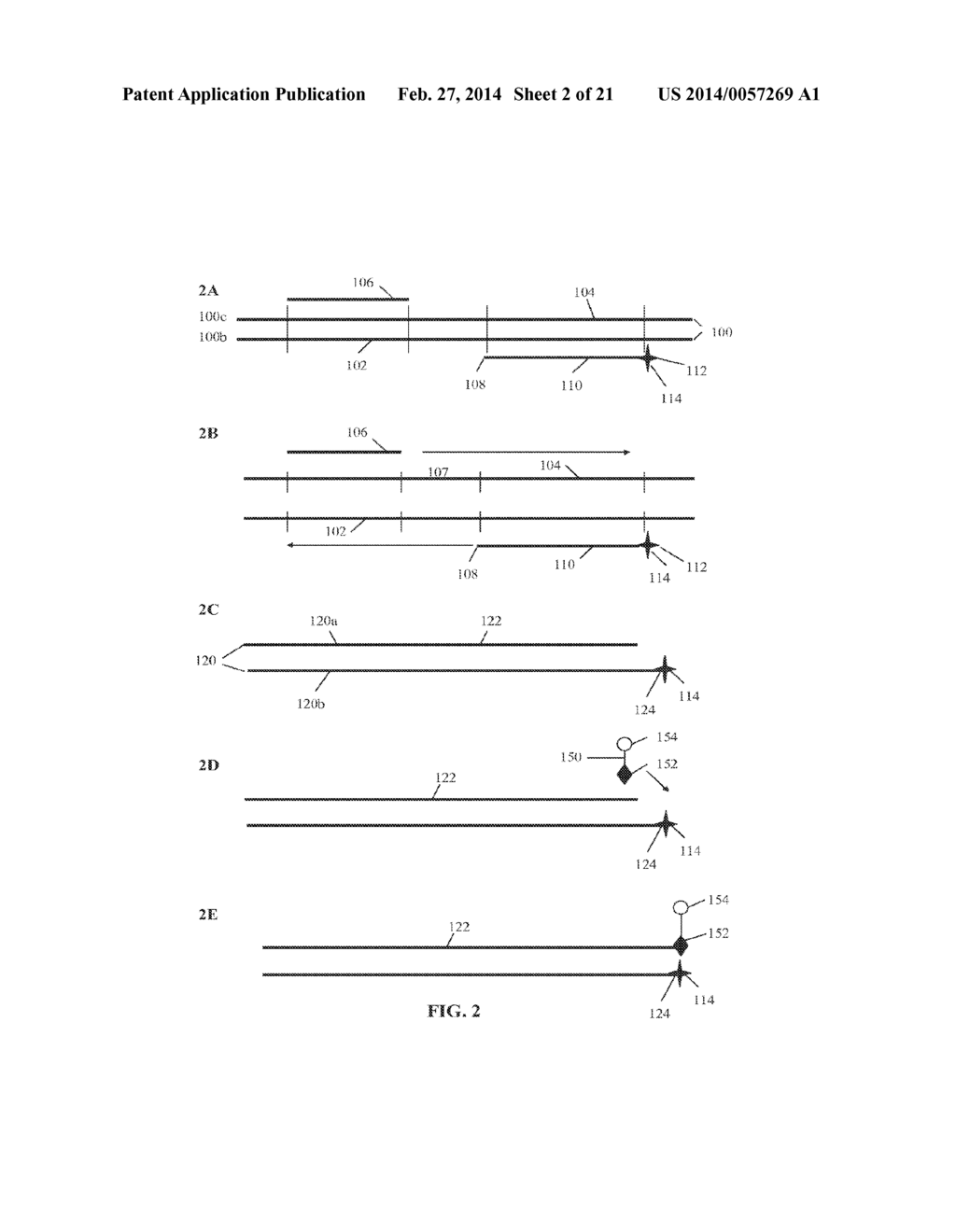 Materials and Methods for Detection of Nucleic Acids - diagram, schematic, and image 03