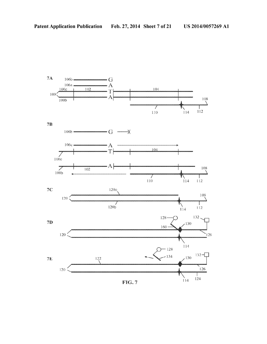 Materials and Methods for Detection of Nucleic Acids - diagram, schematic, and image 08