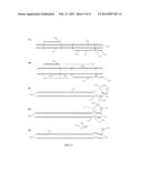 Materials and Methods for Detection of Nucleic Acids diagram and image