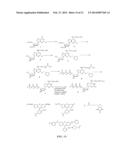 Materials and Methods for Detection of Nucleic Acids diagram and image