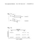 DIGITAL ASSAYS WITH A REPORTER FOR AMPLICON LENGTH diagram and image