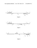 DETECTING MULTINUCLEOTIDE REPEATS diagram and image