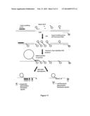 DETECTING MULTINUCLEOTIDE REPEATS diagram and image