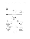 DETECTING MULTINUCLEOTIDE REPEATS diagram and image