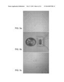 METHODS AND COMPOSITIONS FOR HIGHLY SPECIFIC CAPTURE AND RELEASE OF     BIOLOGICAL MATERIALS diagram and image