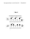 Antibodies to Risperidone Haptens and Use Thereof diagram and image
