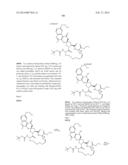 HCV NS3 PROTEASE INHIBITORS diagram and image