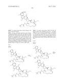HCV NS3 PROTEASE INHIBITORS diagram and image