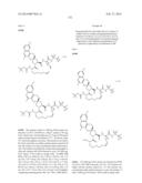 HCV NS3 PROTEASE INHIBITORS diagram and image