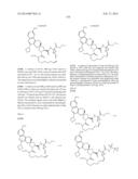 HCV NS3 PROTEASE INHIBITORS diagram and image