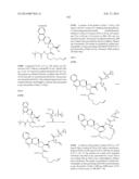 HCV NS3 PROTEASE INHIBITORS diagram and image