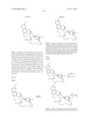 HCV NS3 PROTEASE INHIBITORS diagram and image